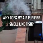 Why Does My Air Purifier Smell Like Fish? All Possible Reasons!