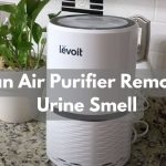 Can Air Purifier Remove Urine Smell? Here Is Everything You Need To Know