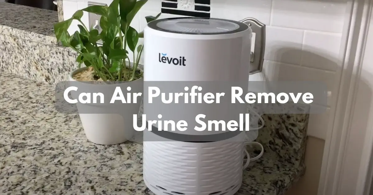 Can Air Purifier Remove Urine Smell