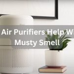 Do Air Purifiers Help With Musty Smell? Learn The Truth