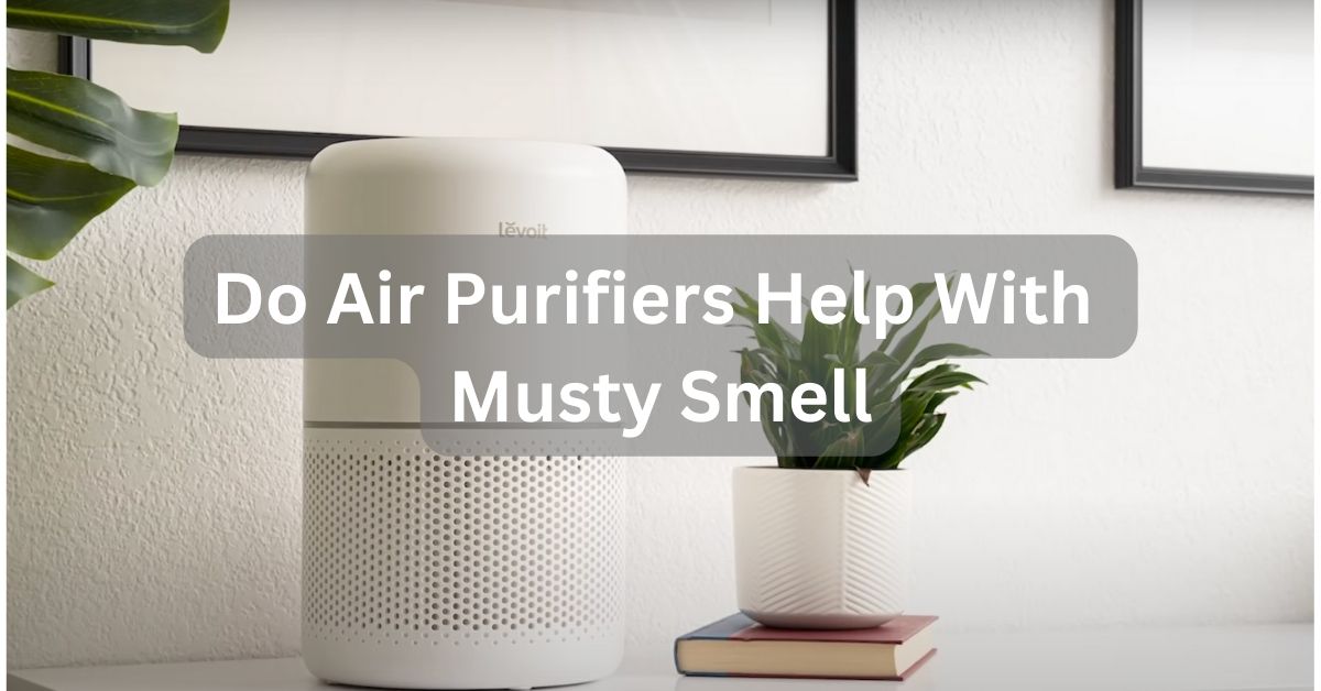 Do Air Purifiers Help With Musty Smell