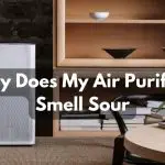 Why Does My Air Purifier Smell Sour? Possible Causes And Solutions