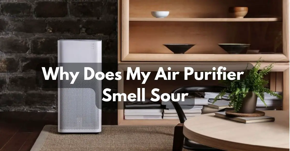 Why Does My Air Purifier Smell Sour