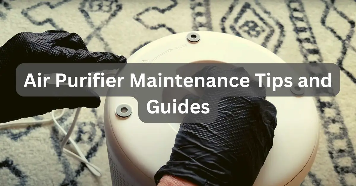 Air Purifier Maintenance Tips and Guides