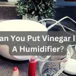 Can You Put Vinegar In A Humidifier?