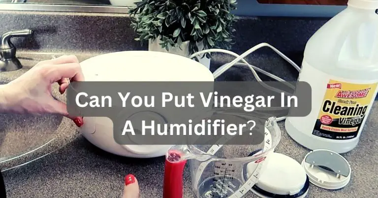Can You Put Vinegar In A Humidifier