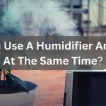 Can You Use A Humidifier And A Fan At The Same Time?