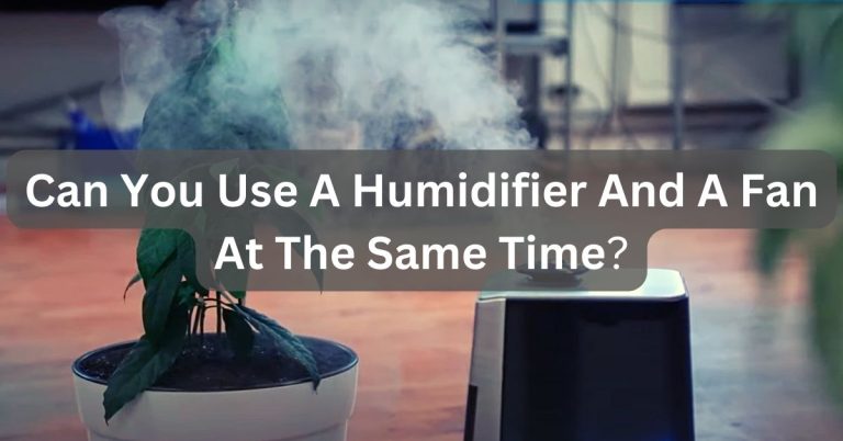 Can You Use A Humidifier And A Fan At The Same Time