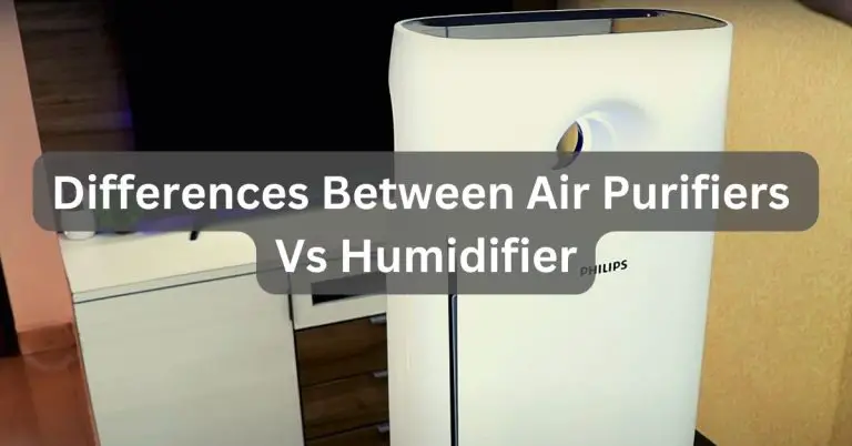 Differences Between Air Purifiers Vs Humidifier