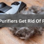 Do Air Purifiers Get Rid Of Pet Hair? Should You Get One?