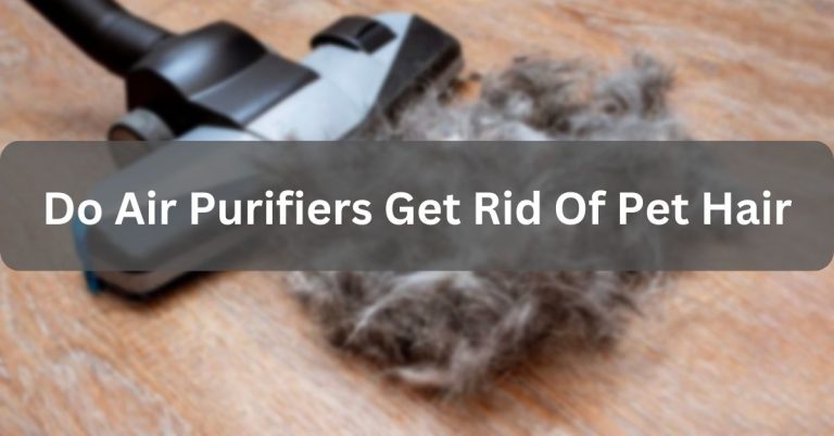 Do Air Purifiers Get Rid Of Pet Hair