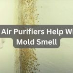 Do Air Purifiers Help With Mold Smell?