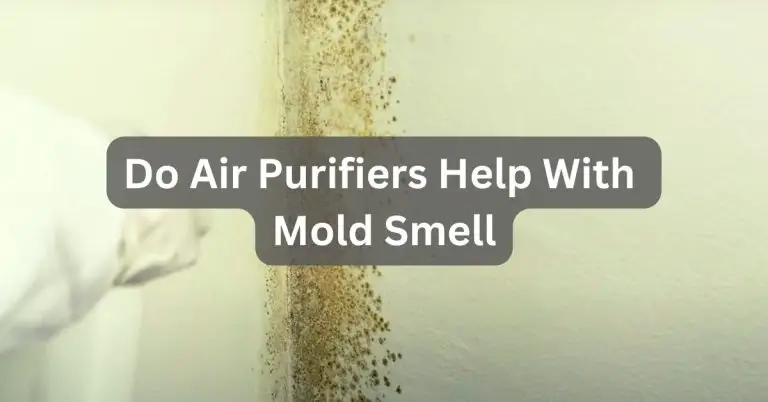 Do Air Purifiers Help With Mold Smell