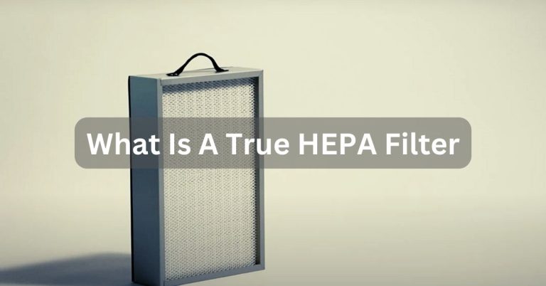 What Is A True HEPA Filter