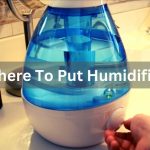 Where To Put Humidifier? – The Golden Tips And Rules To Find The Right Placement