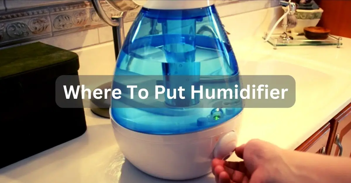 Where To Put Humidifier