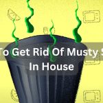 How To Get Rid Of Musty Smell In House?