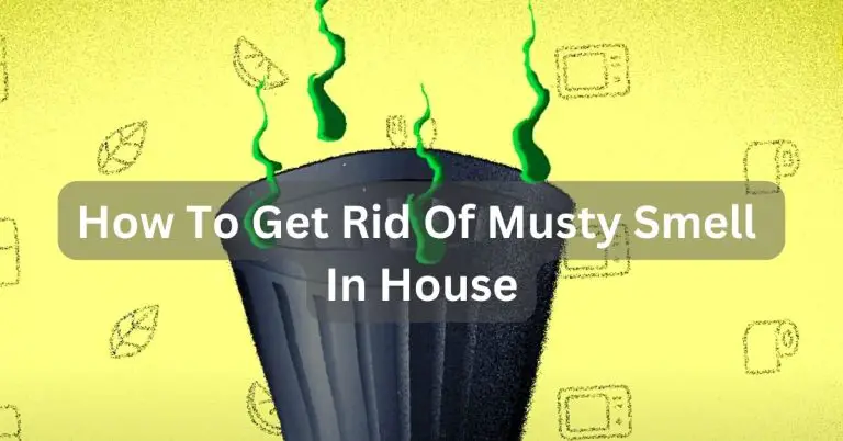 How To Get Rid Of Musty Smell In House