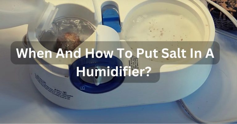 When And How To Put Salt In A Humidifier