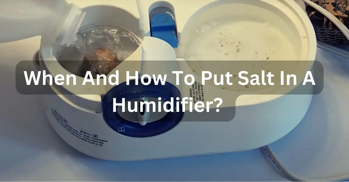 When And How To Put Salt In A Humidifier