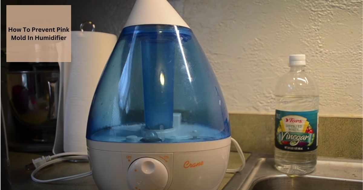 How To Prevent Pink Mold In Humidifier